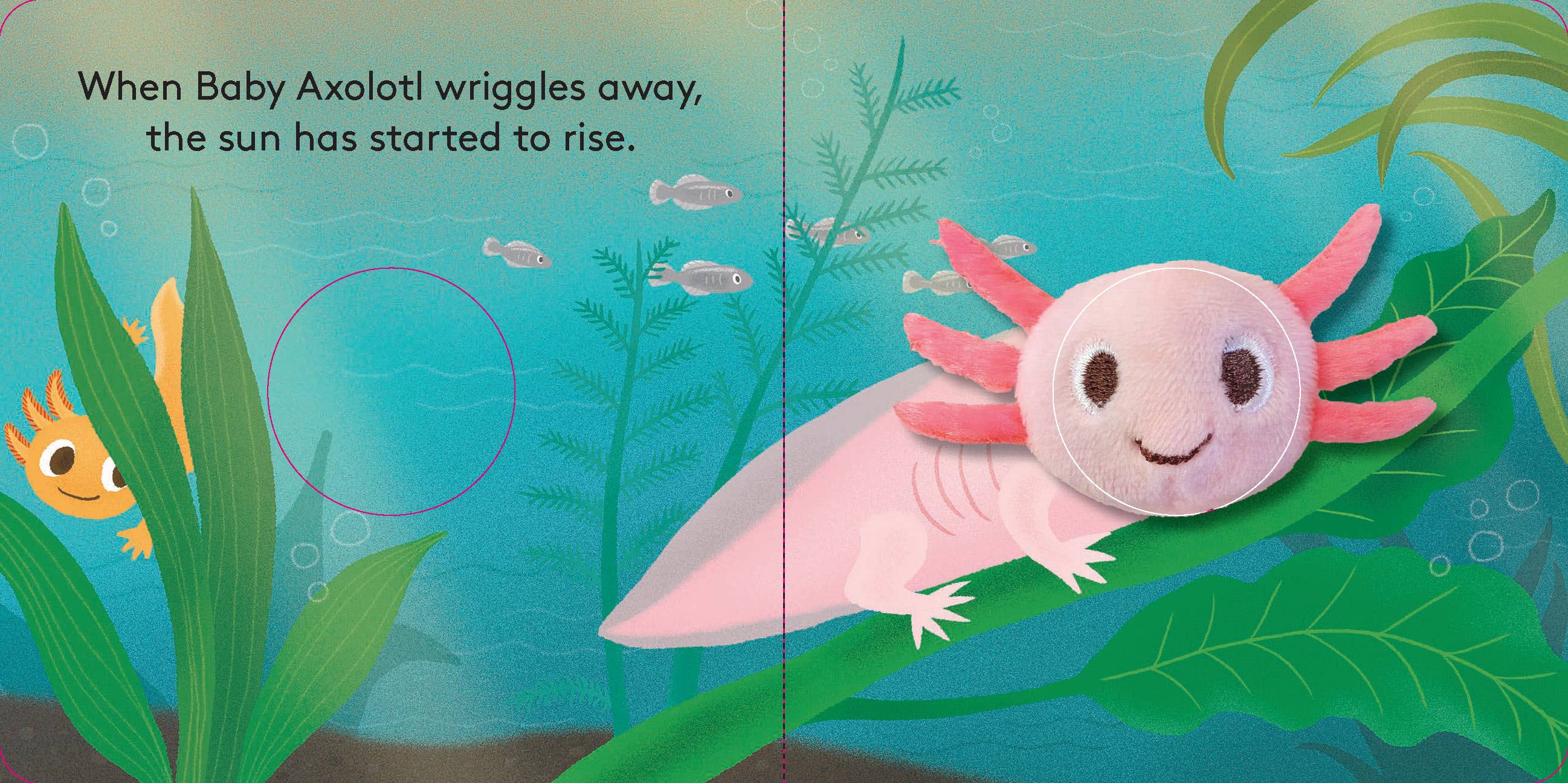 Finger Puppet Board Book- Baby Axolotl