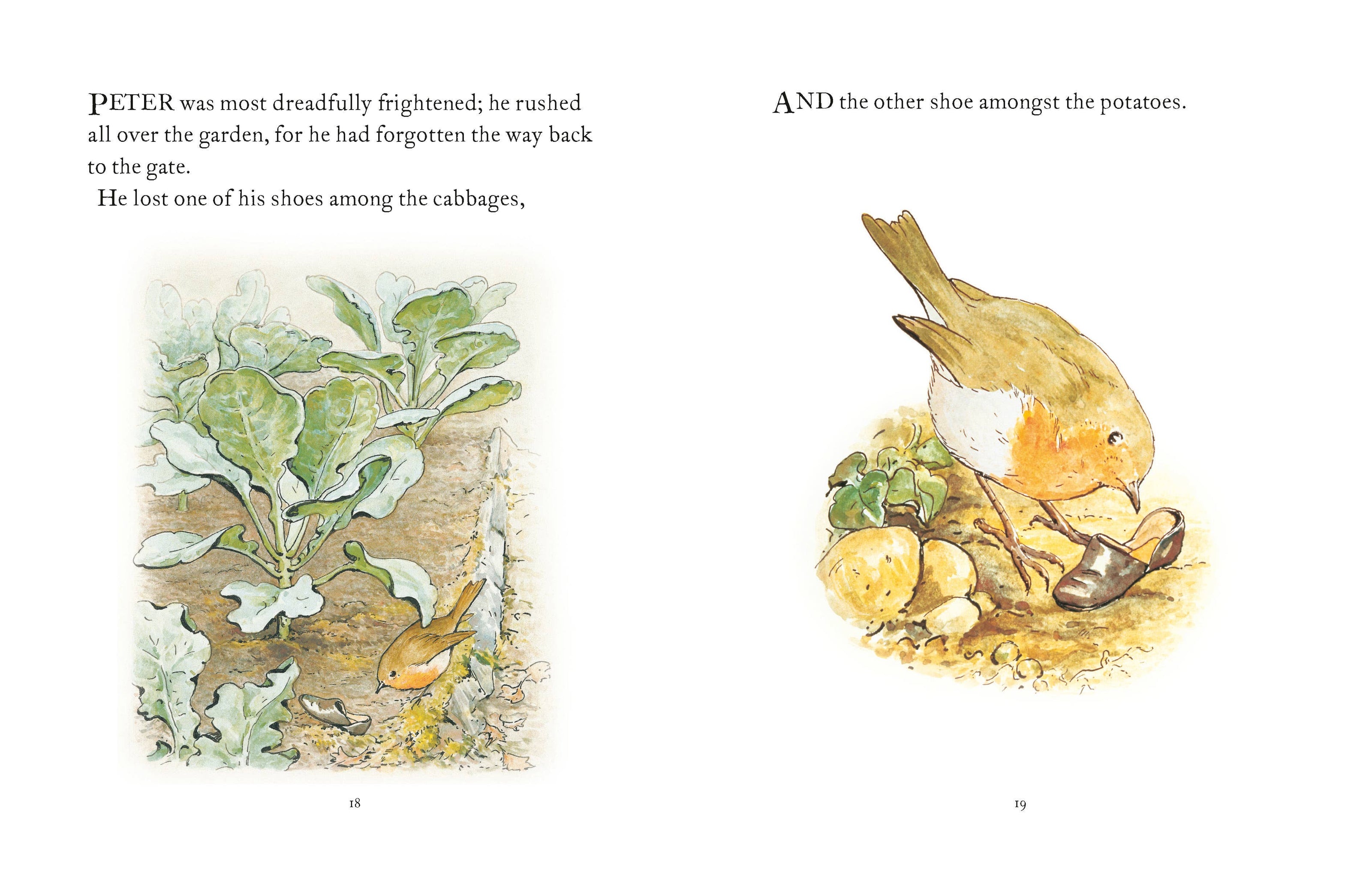 The Tale Of Peter Rabbit Book