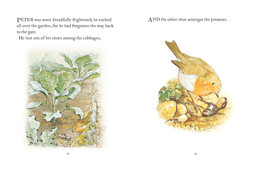 The Tale Of Peter Rabbit Book