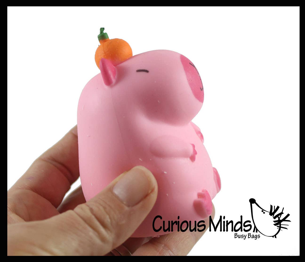Capybara Stretchy Sand Filled - Lover Sensory Fidget Squishy Toy