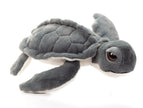 Wild Onez Kemp Sea Turtle small 10