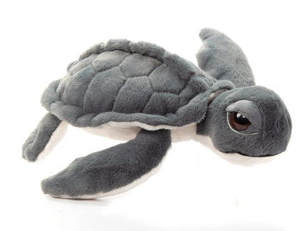 Wild Onez Kemp Sea Turtle small 10