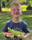 Alex the Alligator Tooth Fairy