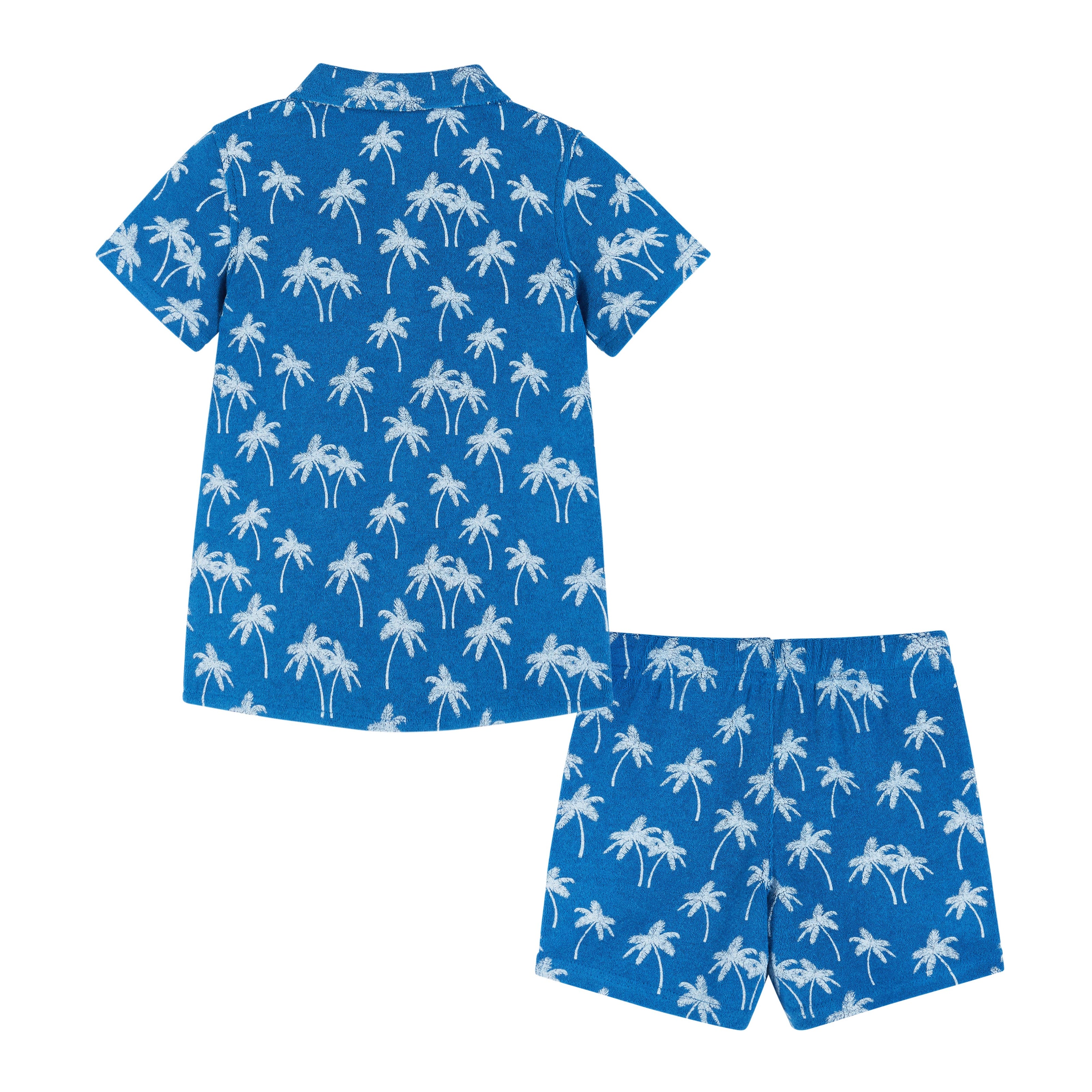 Boys Toddler Matching Blue Palm Terry Set