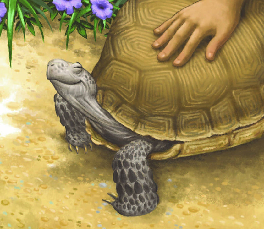 Memoirs of a Tortoise, a picture book
