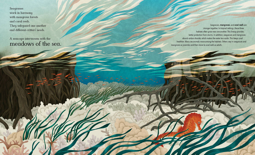Meadows of the Sea: The Wonders of Seagrass Picture Book
