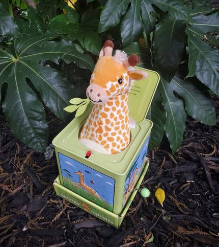 Giraffe Jack in the Box Toy