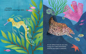 Sea Hides a Seahorse Hardcover Book
