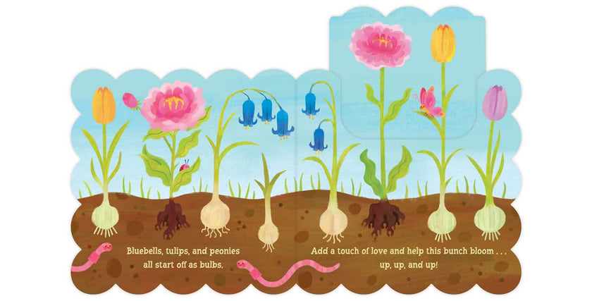 Spring Blooms Board Book