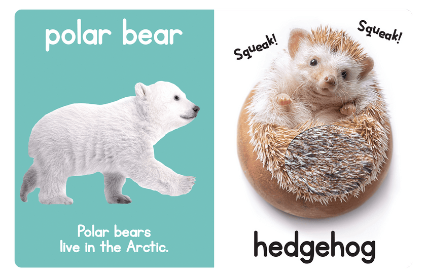 Adorable Animals Board Book