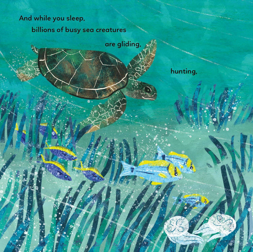 The Ocean Blue and You Hardcover Picture Book
