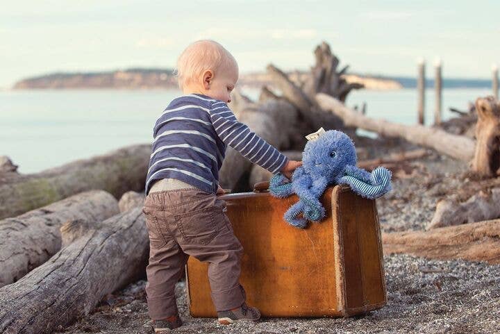 Ocho the Octopus Plush Stuffed Animal