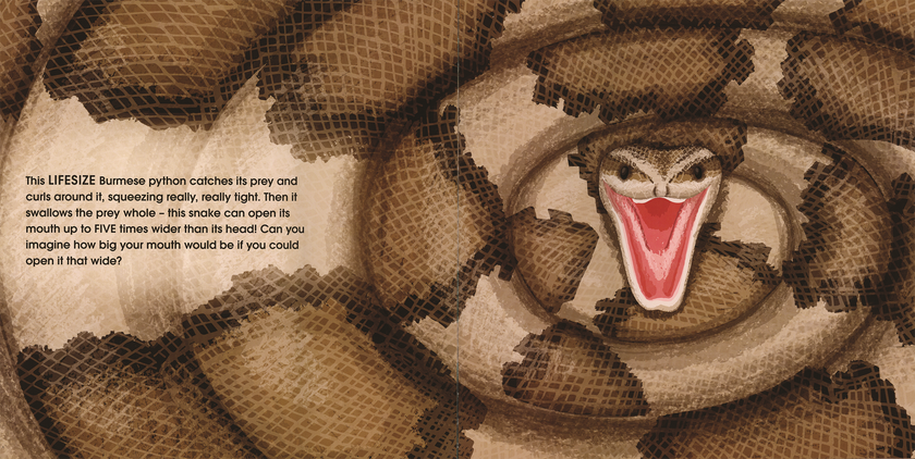 Lifesize Deadly Animals Hardcover Book