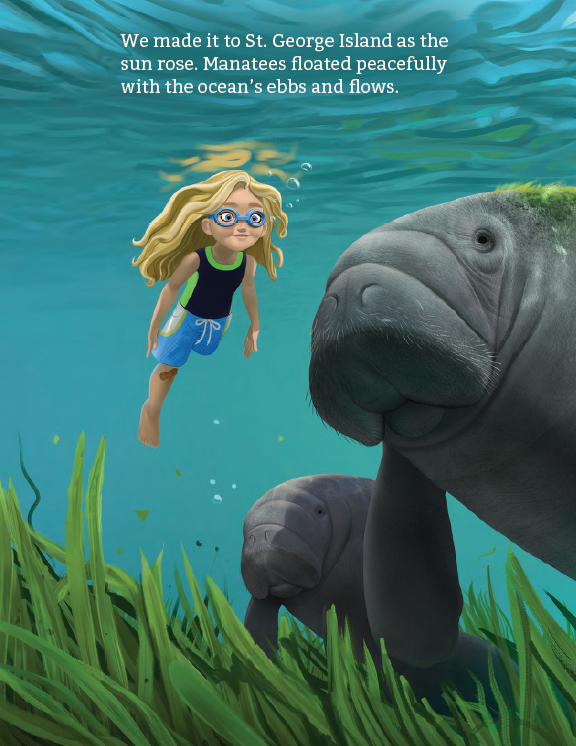 All Aboard, Florida! Hardcover Book