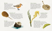 Meadows of the Sea: The Wonders of Seagrass Picture Book