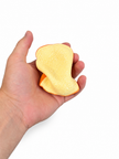 Crunchy Toast Squishy Toy
