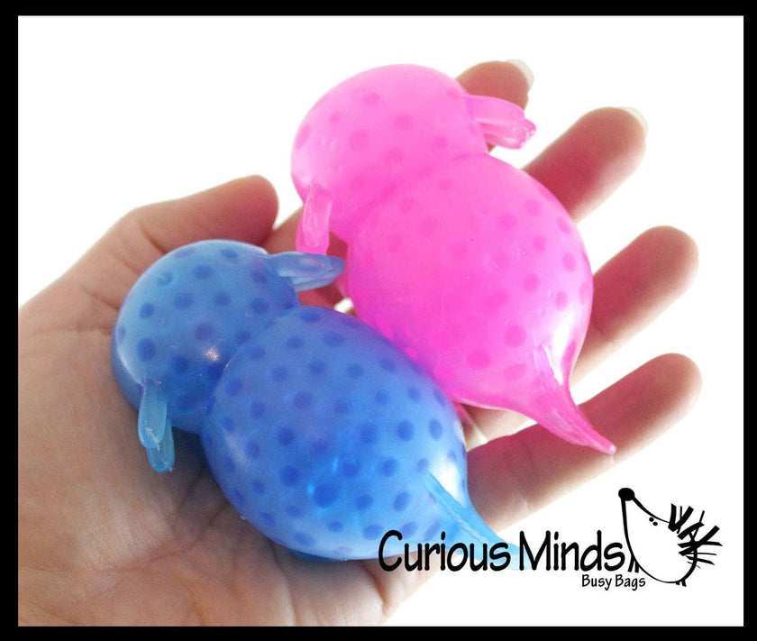 Axolotl Water Bead Filled Squeeze Stress Ball - Sensory Toy