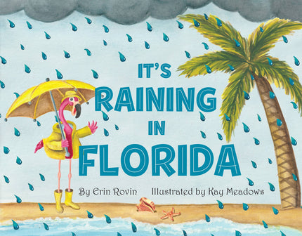 It's Raining in Florida Board Book