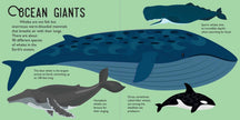 Panoramic Pop-Ups: Ocean Hardcover Book