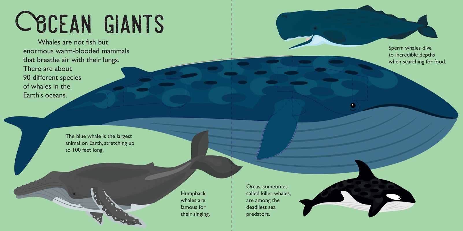Panoramic Pop-Ups: Ocean Hardcover Book