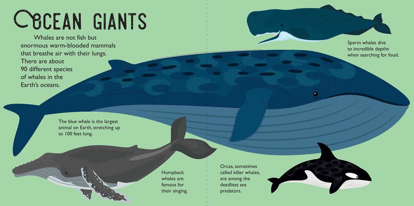 Panoramic Pop-Ups: Ocean Hardcover Book