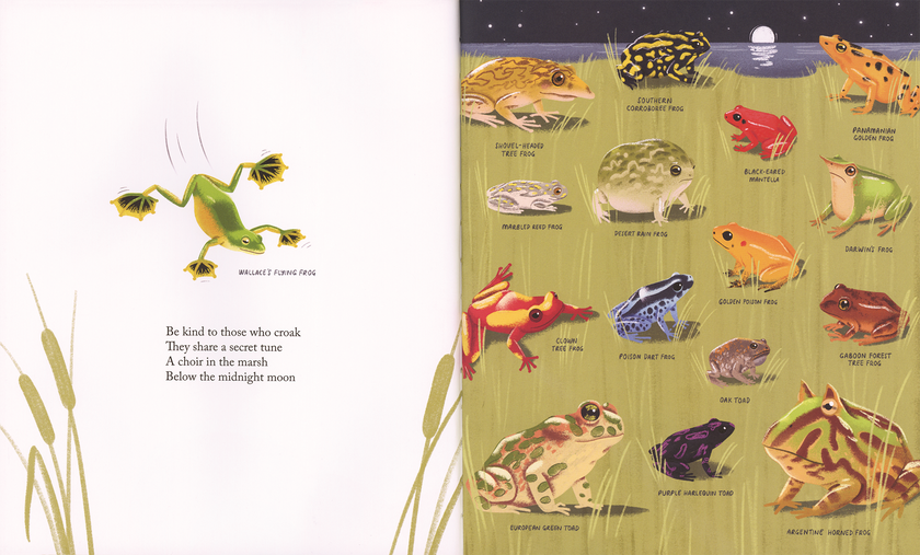 Kind Hardcover Book