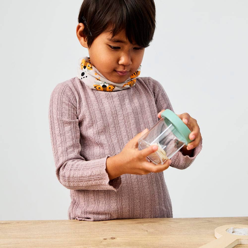 Insects Toy Kit