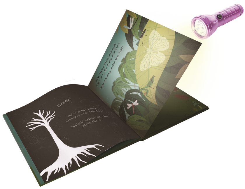 Shine-A-Light: Secrets of the Rain Forest Hardcover Book