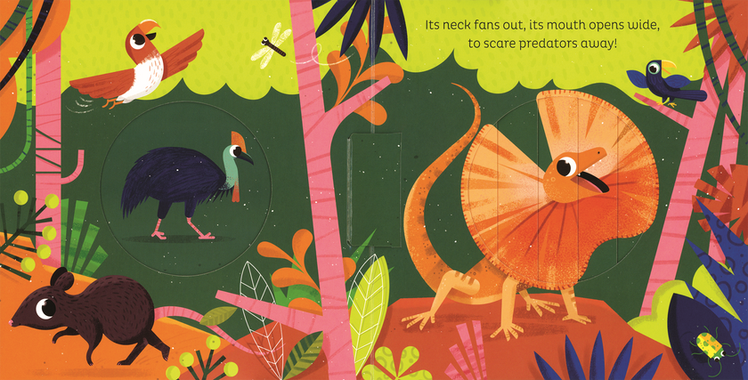 In the Jungle Board Book