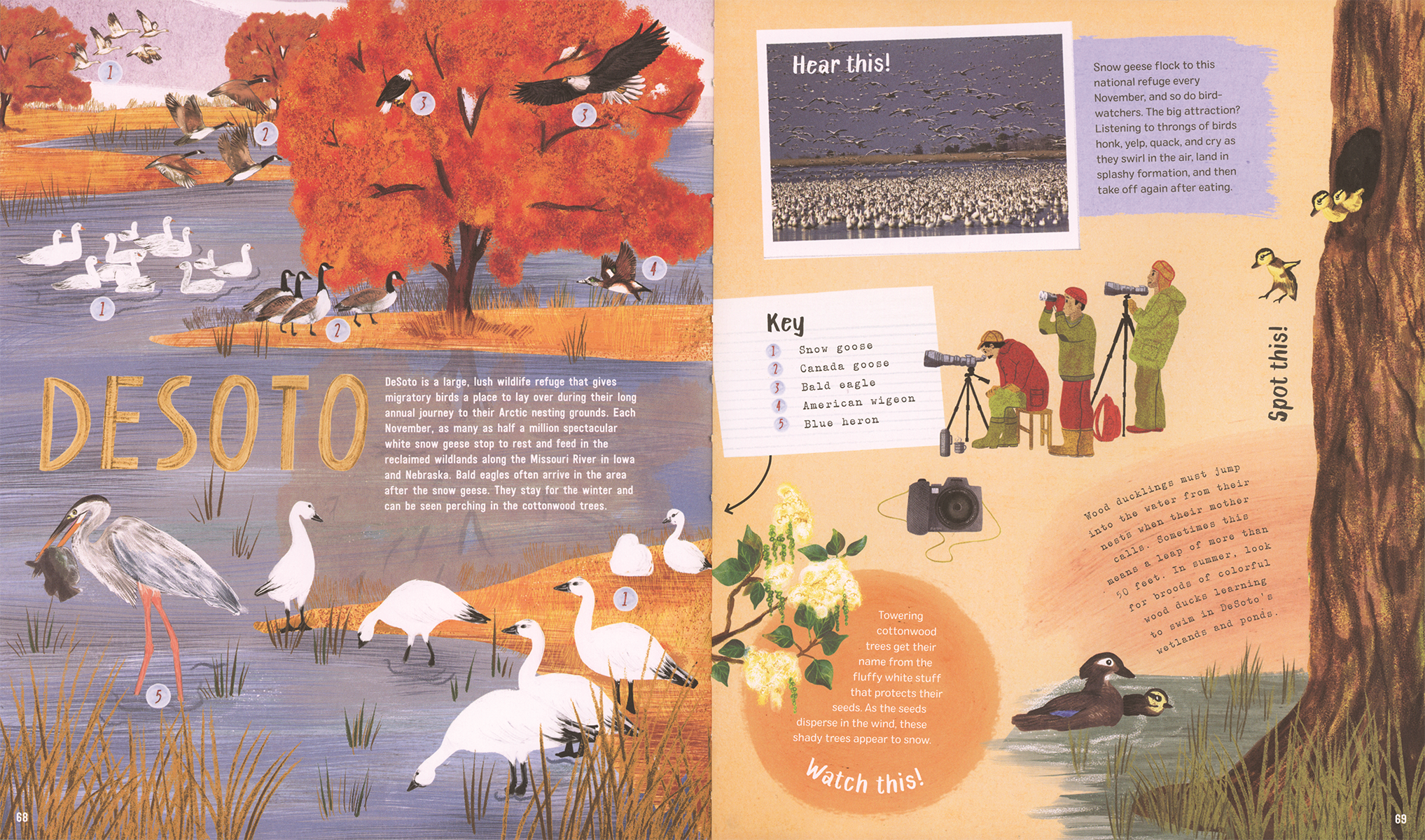 Explore! America's Wildlife Hardcover Book