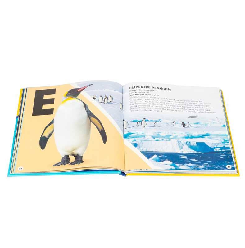 A to Z of Ocean Life Hardcover Book