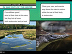 Alligators and Crocodiles Can't Chew! Book