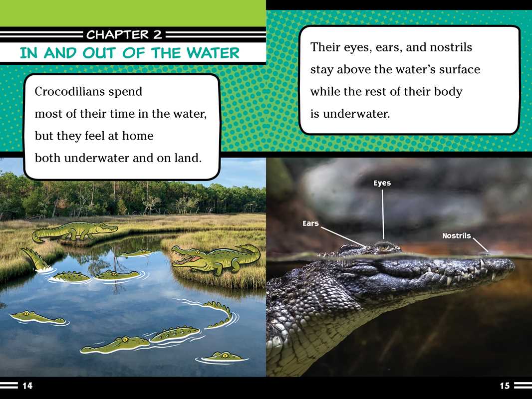 Alligators and Crocodiles Can't Chew! Book