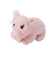 Pippy the Pig Tooth Fairy