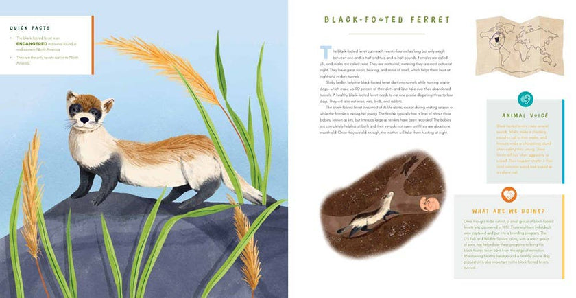 Hear Them Roar: 14 Endangered Animals - Kids' Hardcover Book