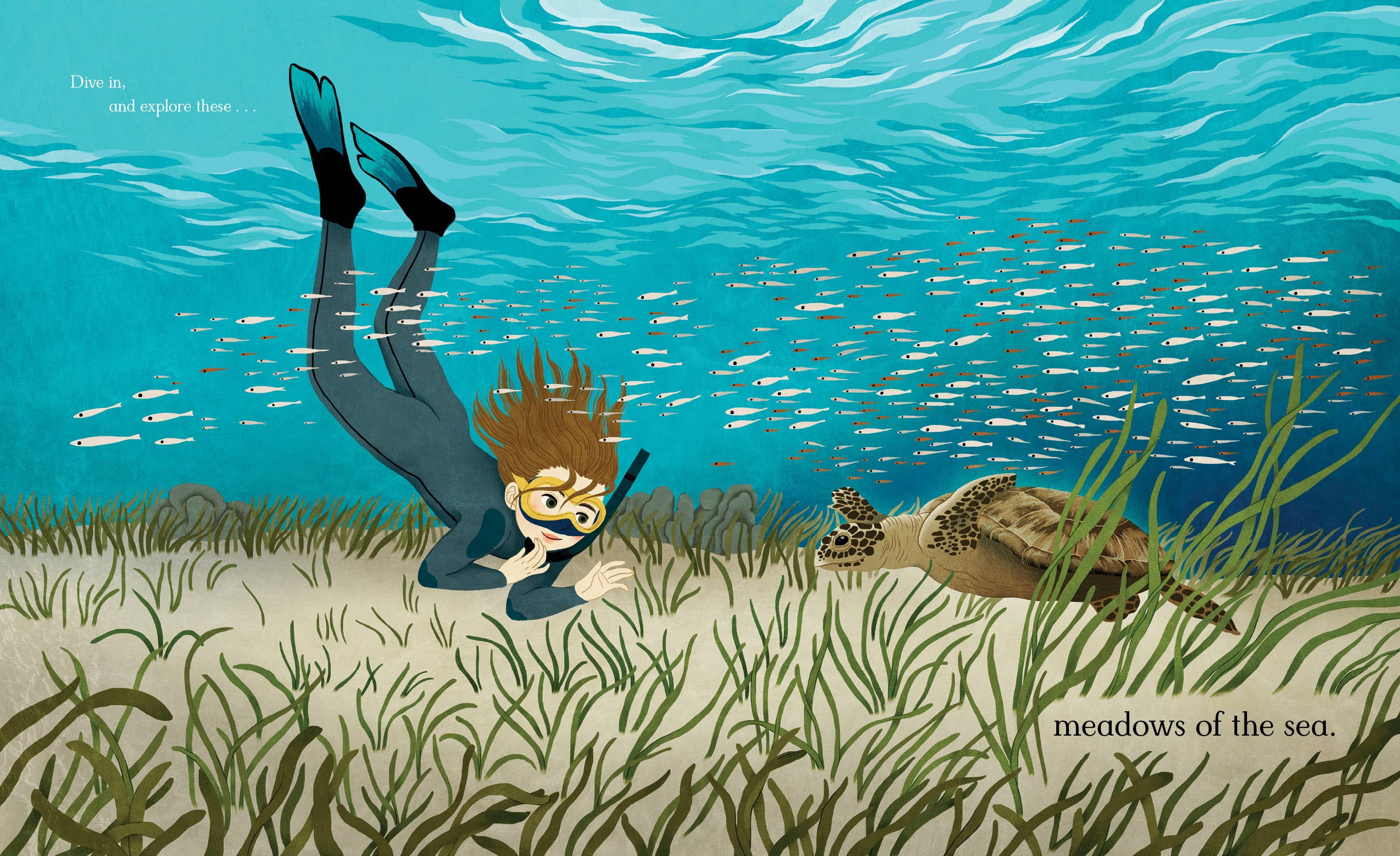 Meadows of the Sea: The Wonders of Seagrass Picture Book