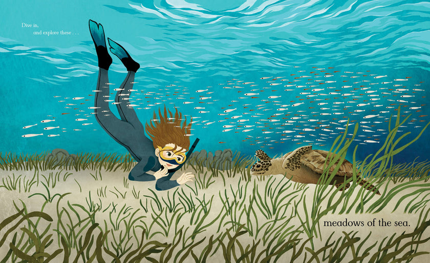 Meadows of the Sea: The Wonders of Seagrass Picture Book