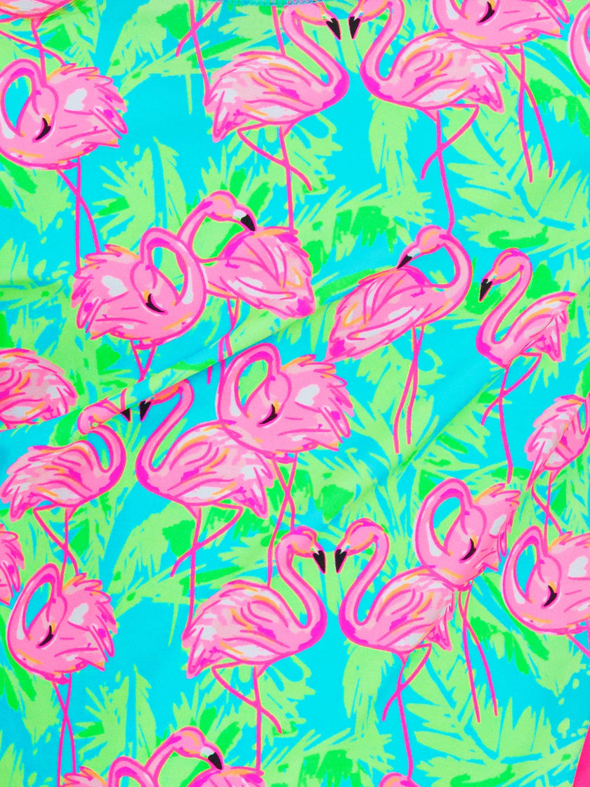Baby Girls Neon Flamingo Fun Long Sleeve One Piece Rash Guard Swimsuit