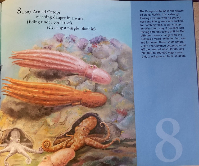 Sunny Numbers: A Florida Number book