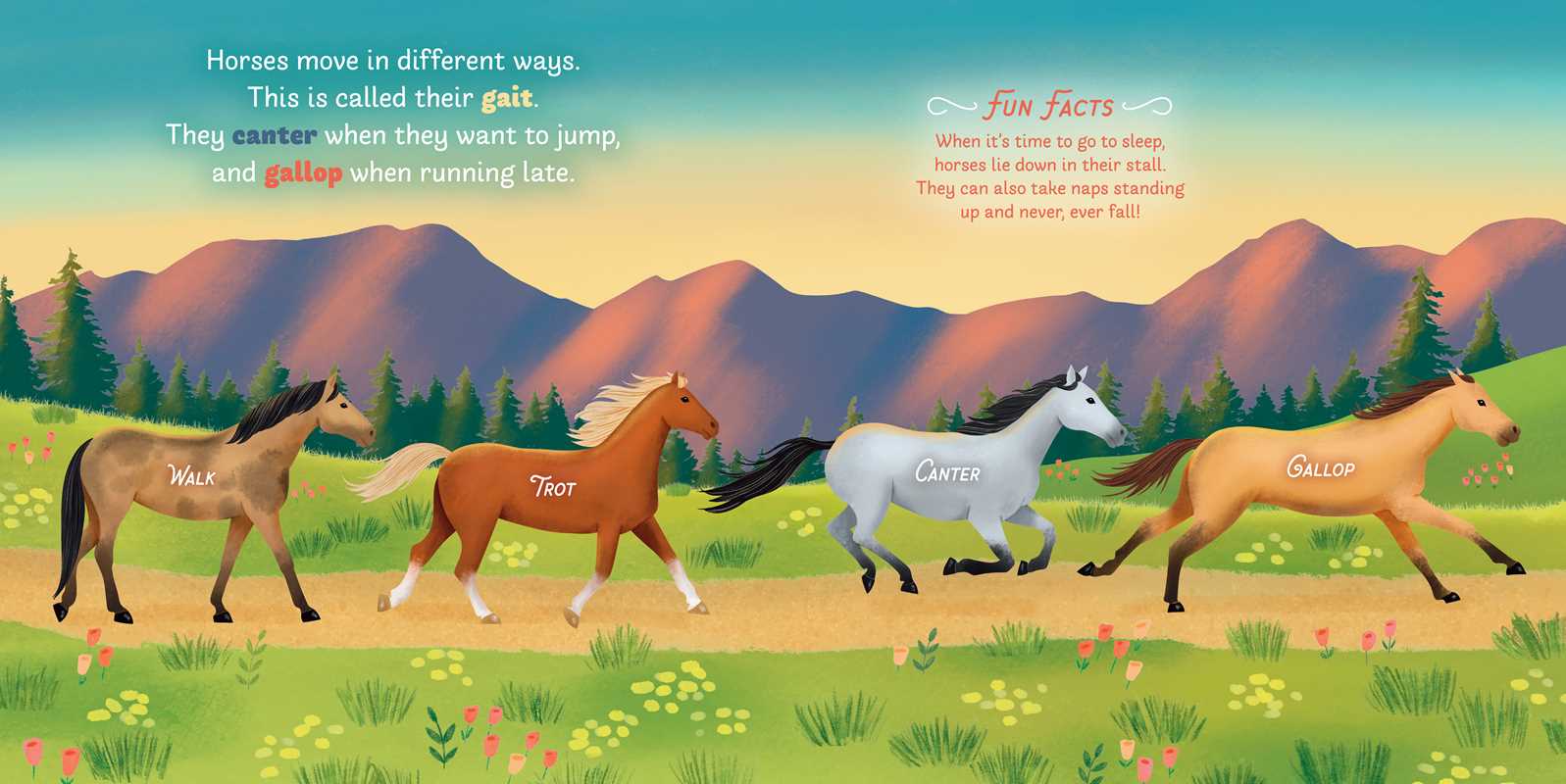 Little Genius Horses Board Book