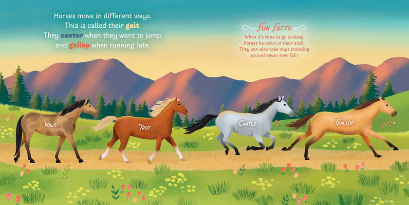 Little Genius Horses Board Book