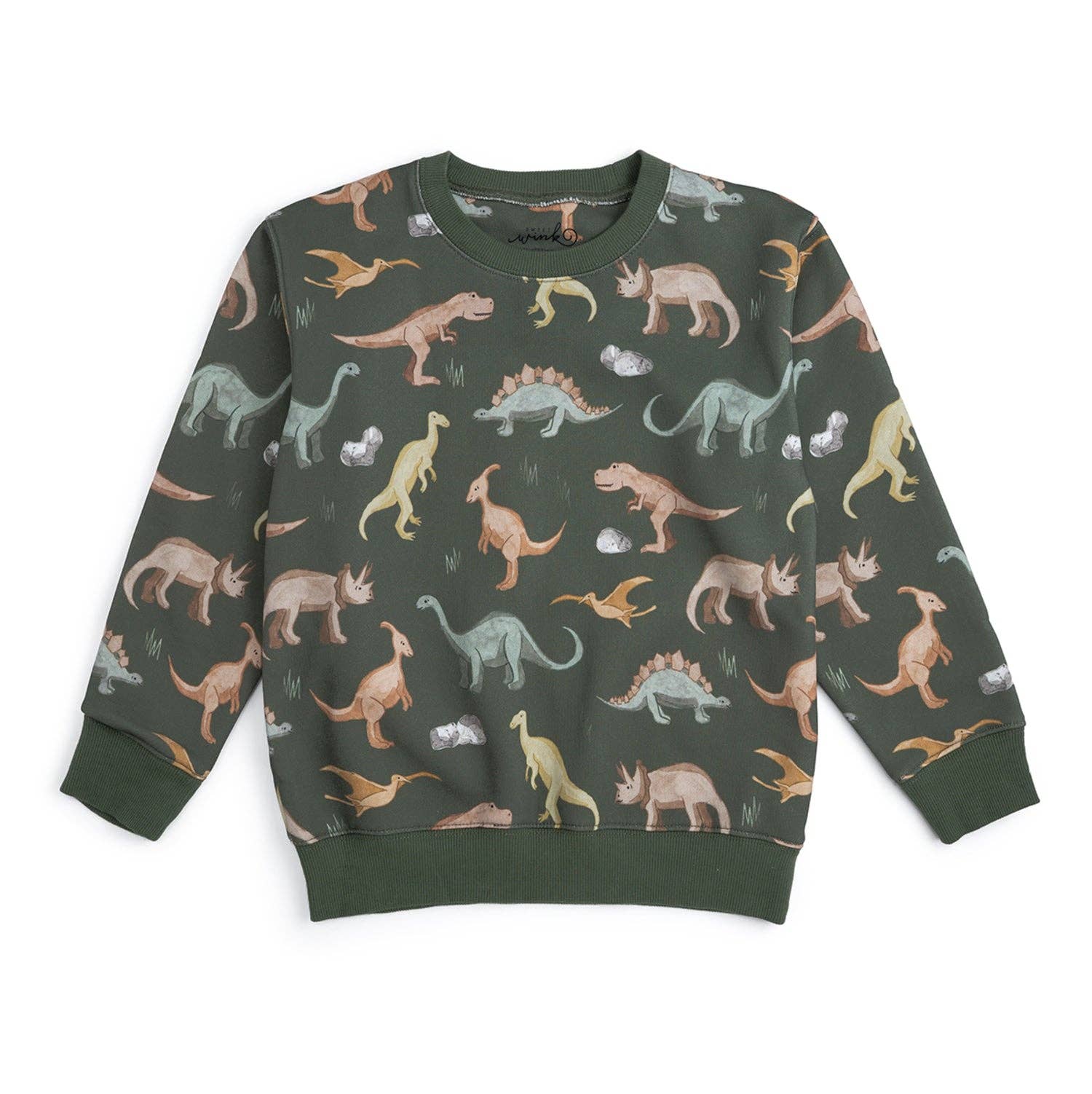 Dinosaurs Rock Sweatshirt - Boys Clothing - Fall/Winter