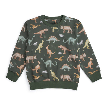 Dinosaurs Rock Sweatshirt - Boys Clothing - Fall/Winter