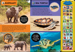 National Geographic Kids: Animal Sound Treasury Book