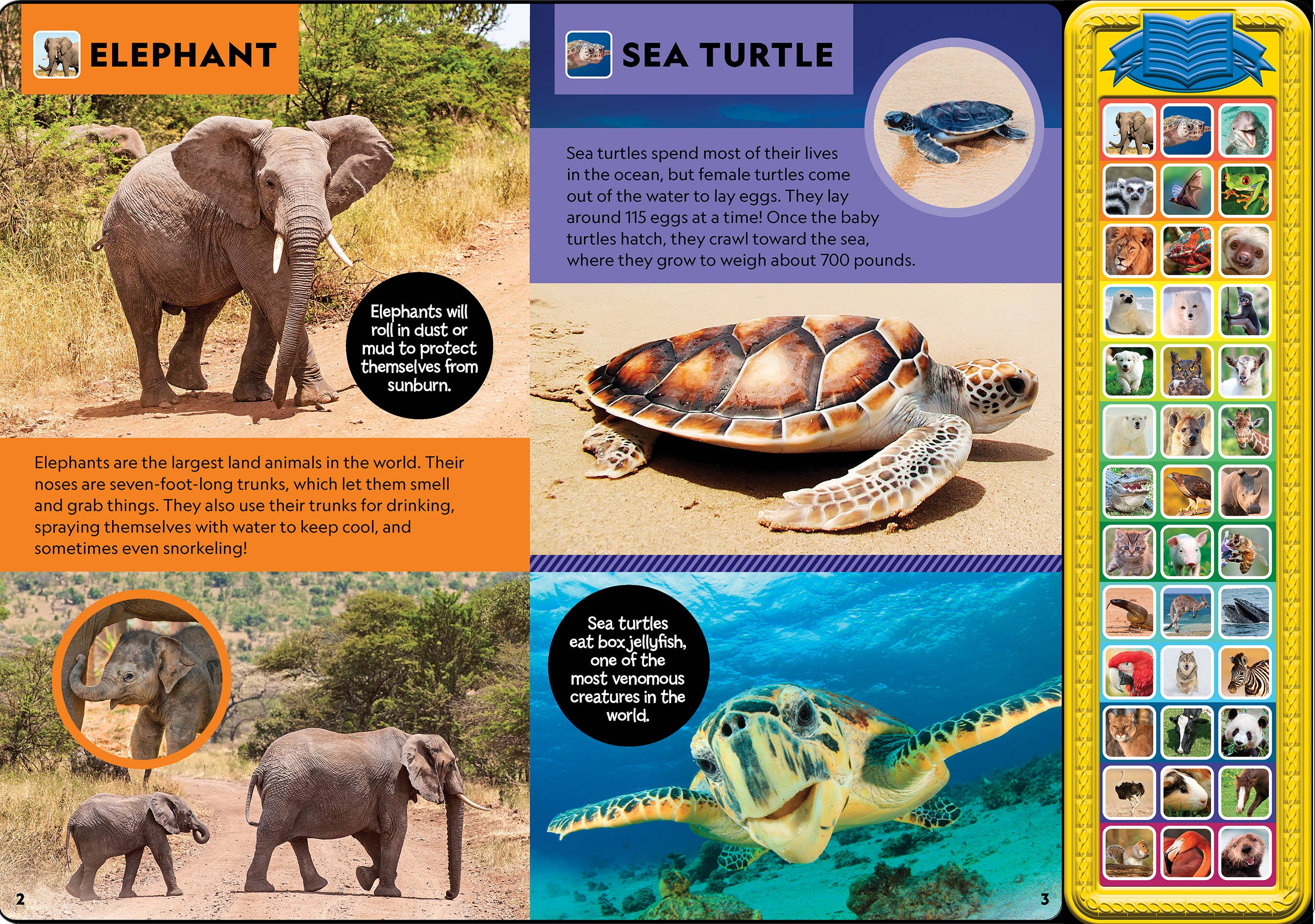 National Geographic Kids: Animal Sound Treasury Book