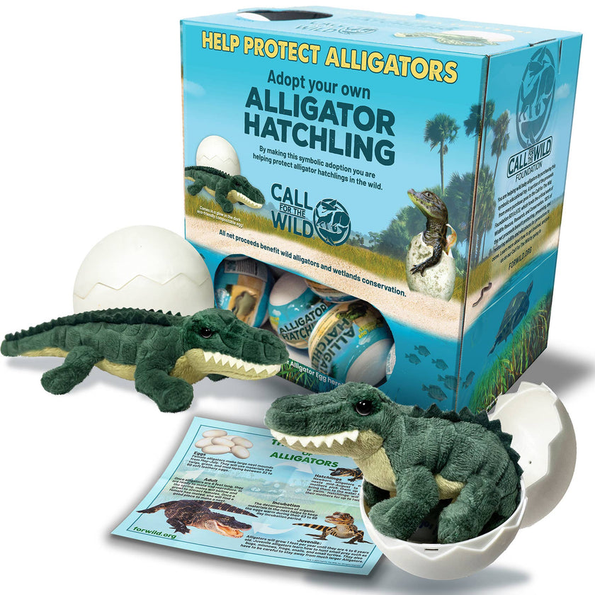 Alligator Hatchling Plush Stuffed Animal