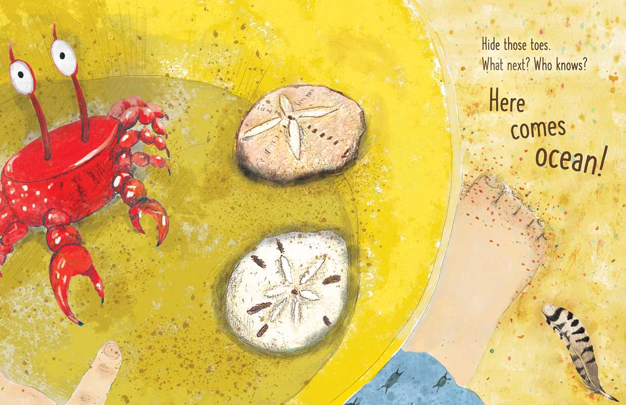 Here Comes Ocean Hardcover Book