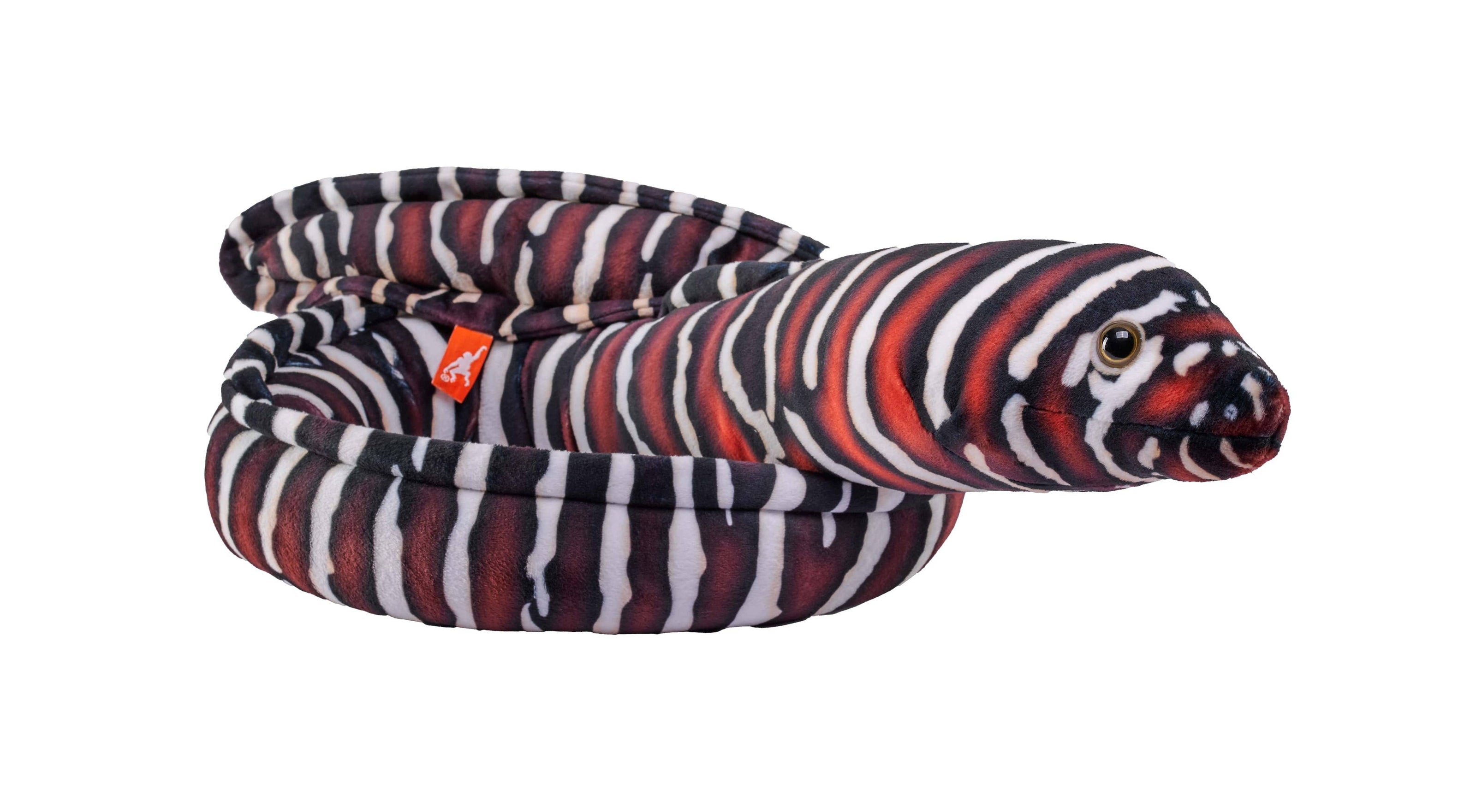 Eel Moray Zebra Stuffed Animal 54