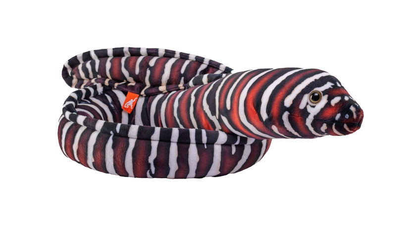 Eel Moray Zebra Stuffed Animal 54