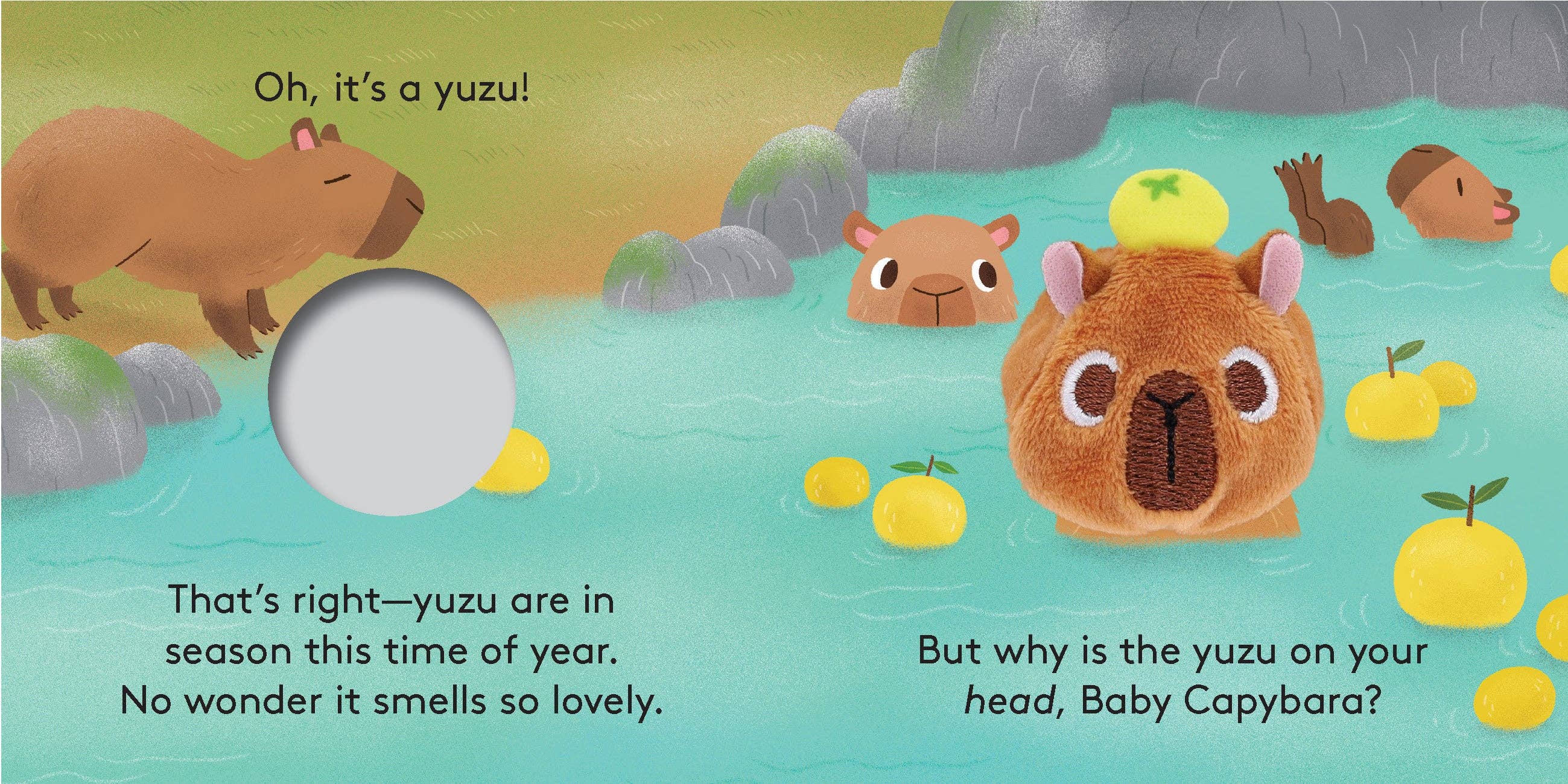 Finger Puppet Board Book- Baby Capybara